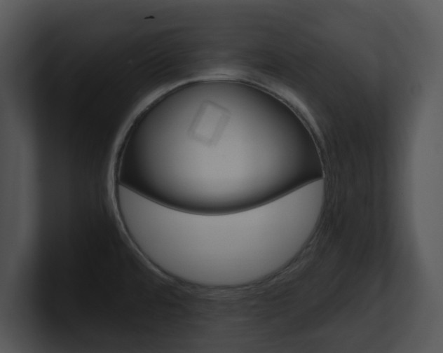 X0000100951480200806241112