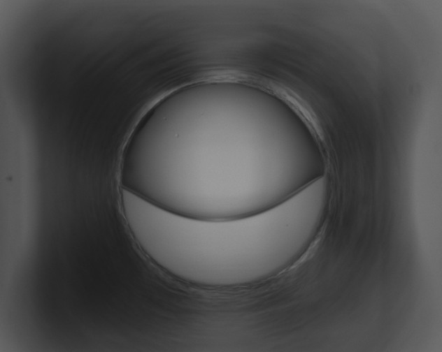 X0000100951481200806241112