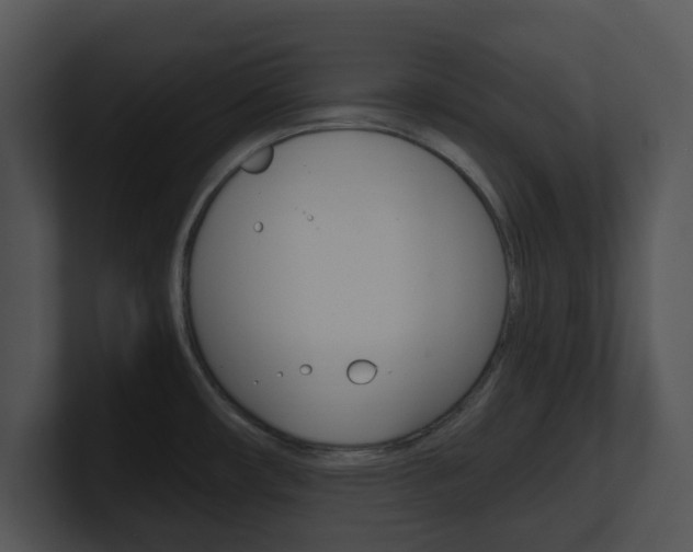 X0000100951482200806241112