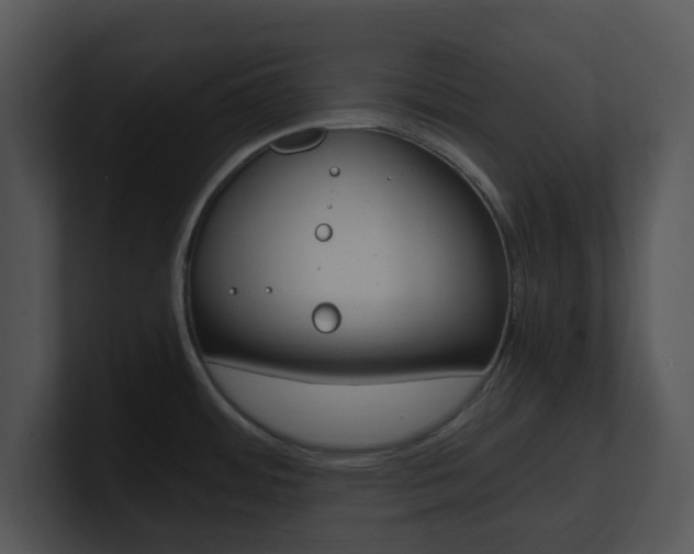 X0000100951484200806241112