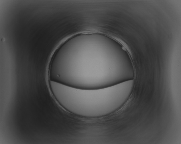X0000100951485200806241112