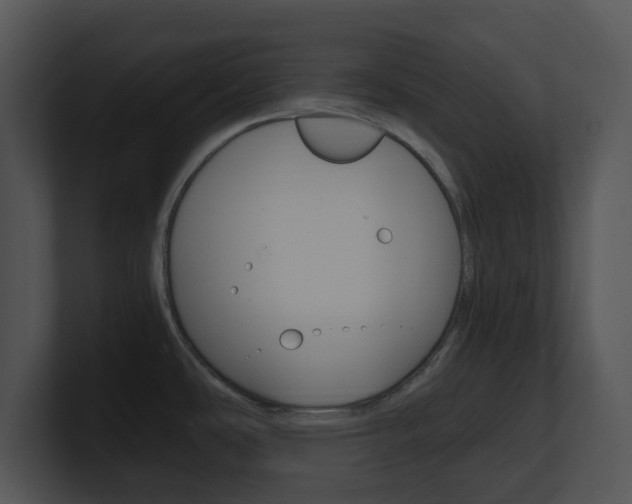 X0000100951486200806241112