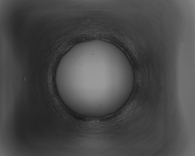 X0000100951489200806241112