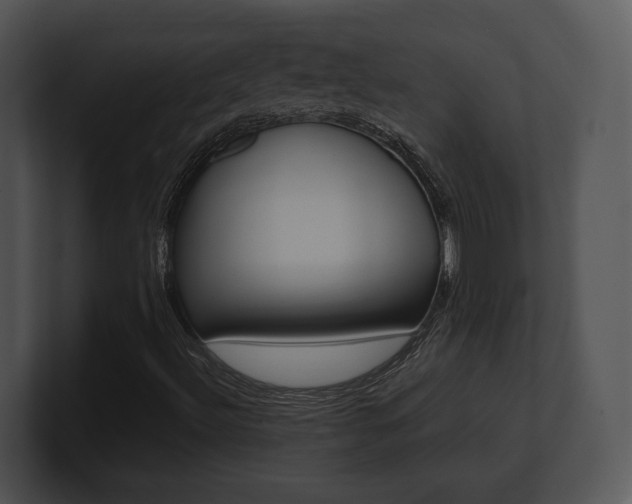 X0000100951492200806241112