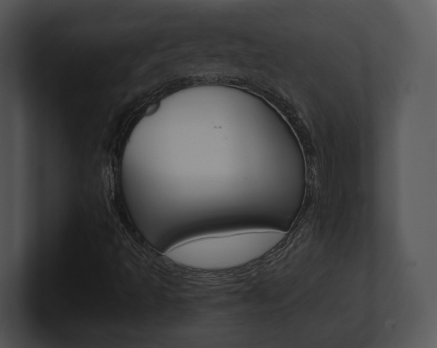 X0000100951493200806241112