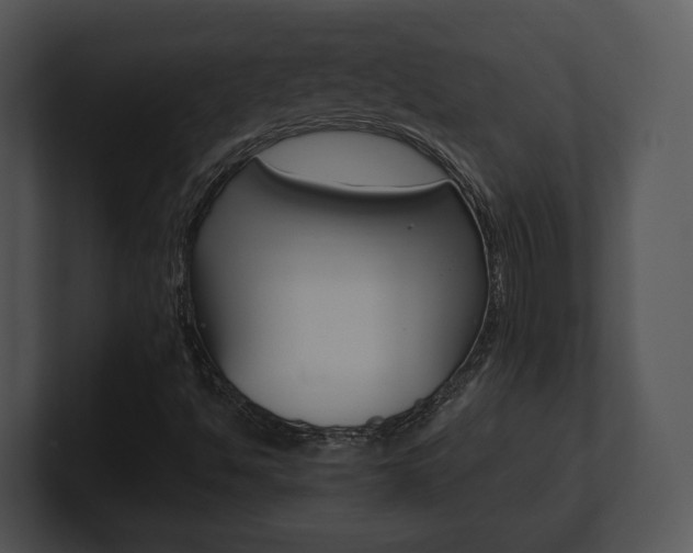 X0000100951494200806241112