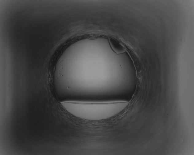 X0000100951495200806241112