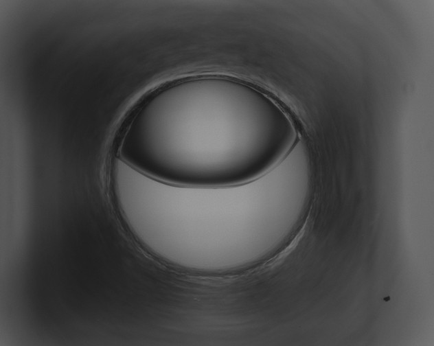 X0000100951502200806241112