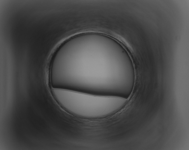 X0000100951504200806241112