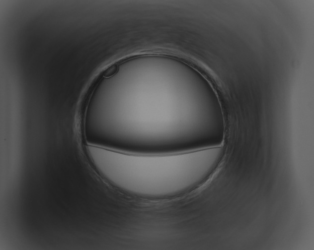 X0000100951506200806241112