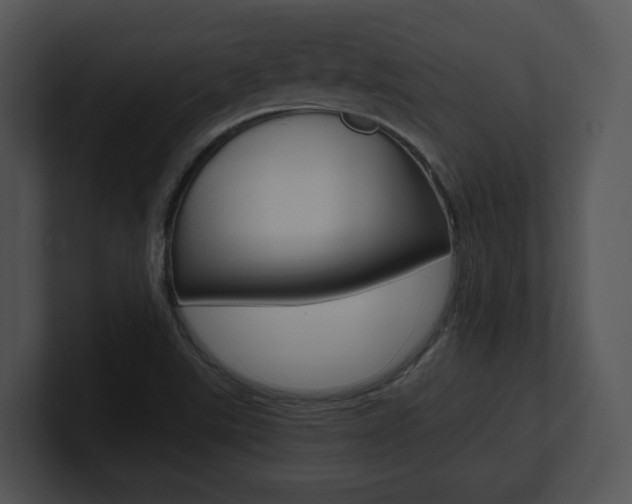 X0000100951507200806241112