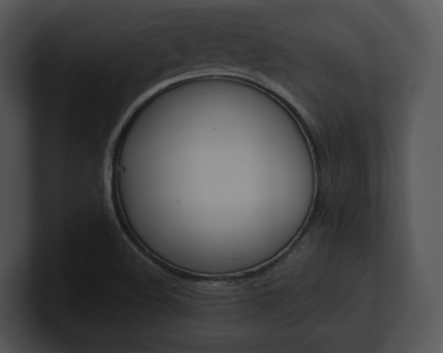 X0000100951508200806241112