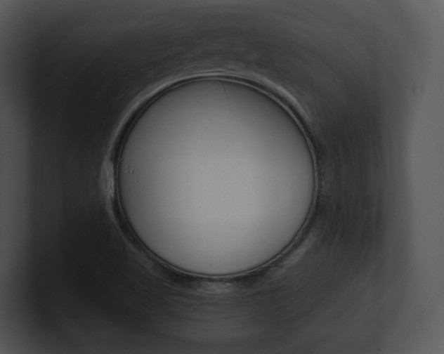 X0000100951509200806241112