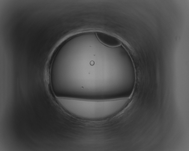 X0000100951510200806241112