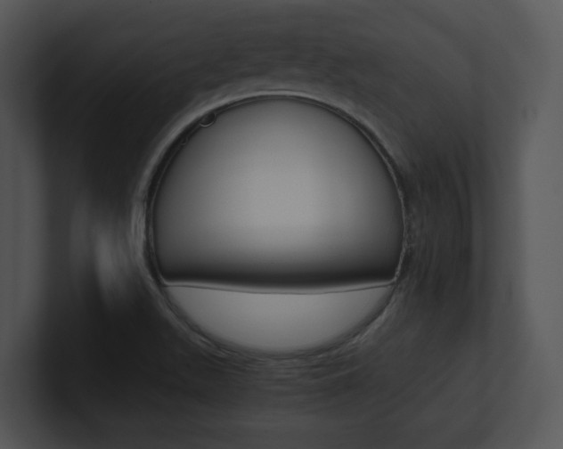 X0000100951511200806241112