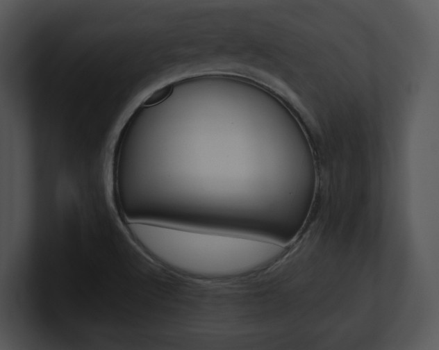 X0000100951512200806241112