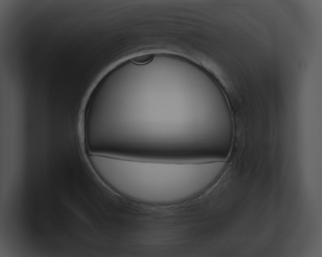 X0000100951516200806241112