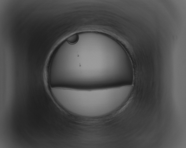 X0000100951517200806241112
