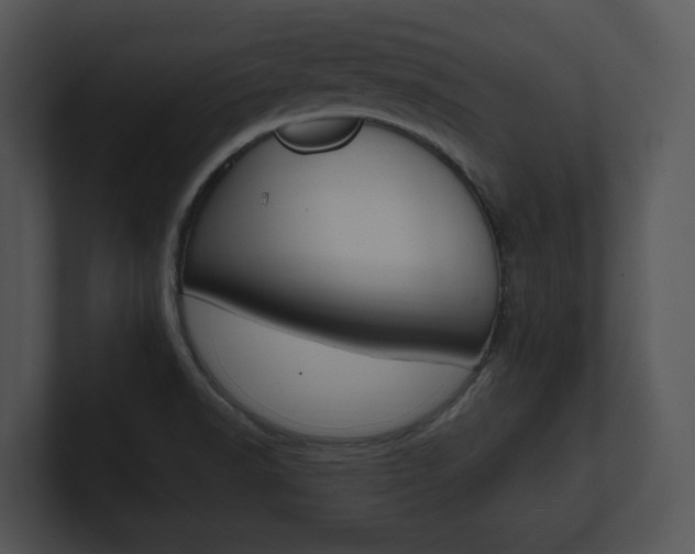 X0000100951518200806241112