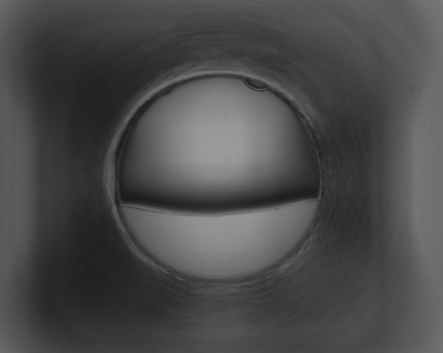 X0000100951519200806241112