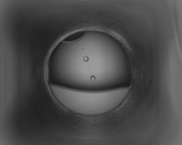 X0000100951520200806241112