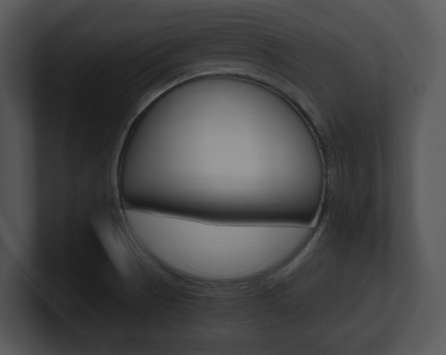 X0000100951521200806241112