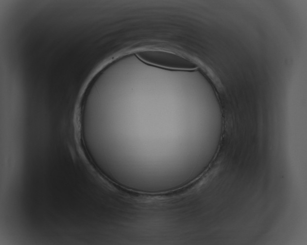 X0000100951522200806241112