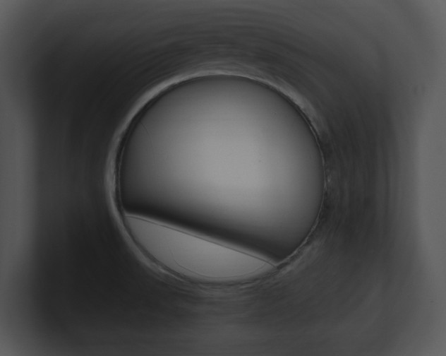 X0000100951523200806241112