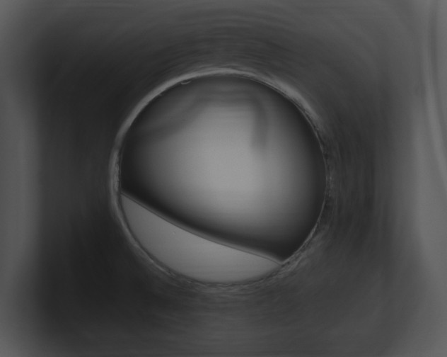 X0000100951524200806241112