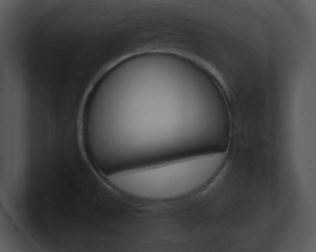 X0000100951525200806241112
