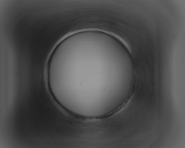 X0000100951526200806241112