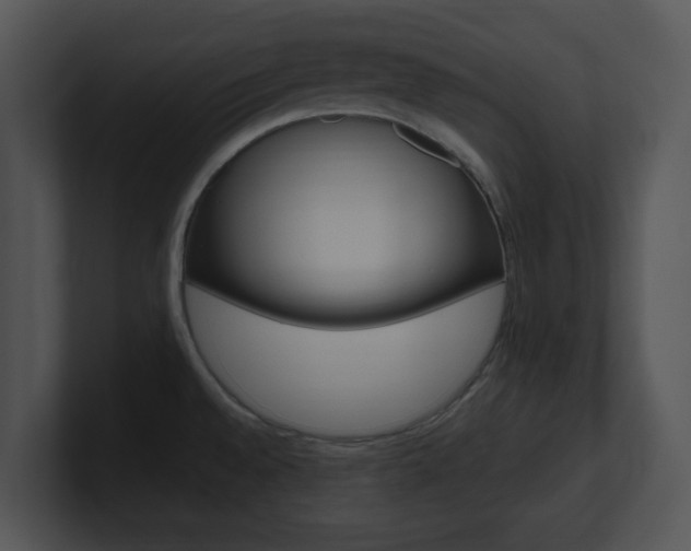 X0000100951528200806241112