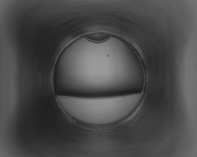 X0000100951529200806241112