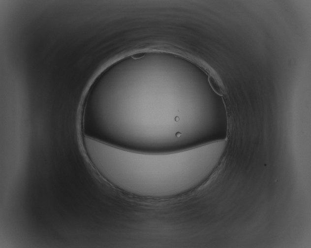 X0000100951530200806241112