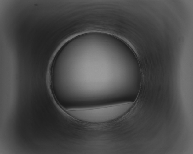 X0000100951531200806241112