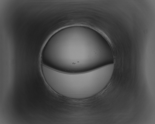 X0000100951532200806241112