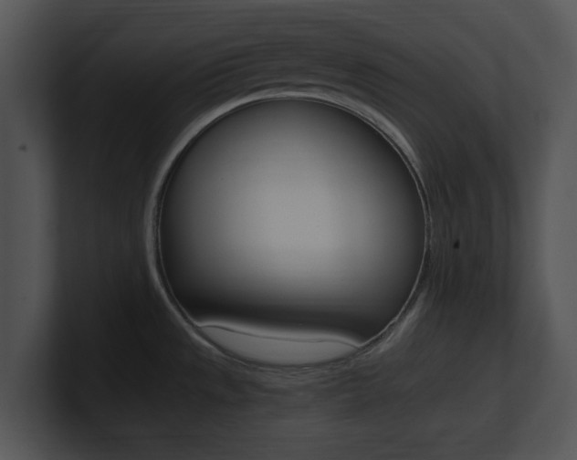 X0000100951533200806241112