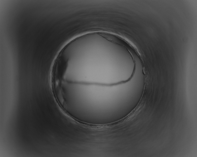 X0000100951535200806241112