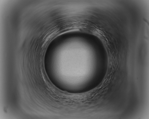 X0000100950001200806241514