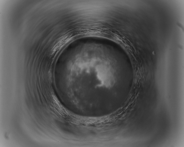 X0000100950002200806241514