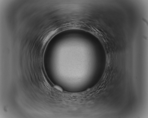 X0000100950003200806241514