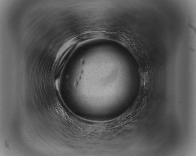 X0000100950004200806241514