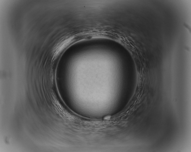 X0000100950005200806241514
