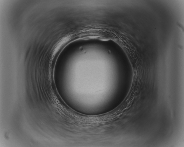 X0000100950006200806241514