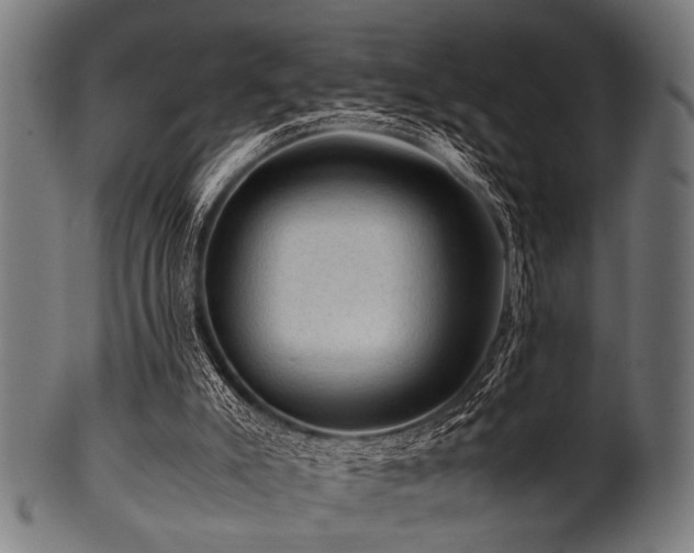 X0000100950007200806241514