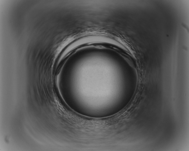 X0000100950008200806241514