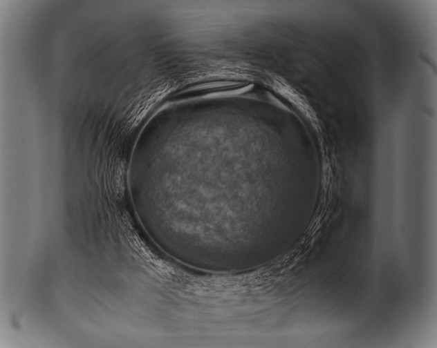 X0000100950009200806241514