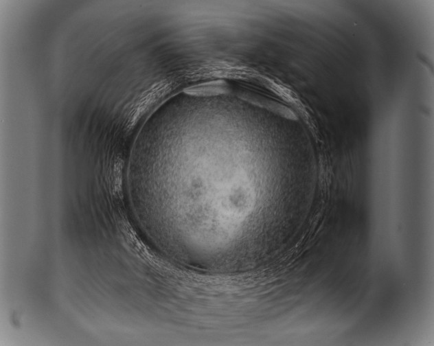 X0000100950010200806241514
