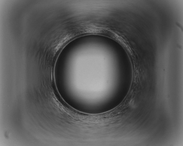 X0000100950011200806241514