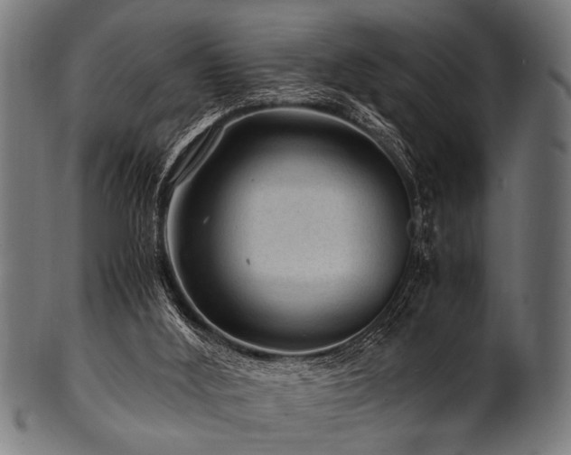 X0000100950012200806241514